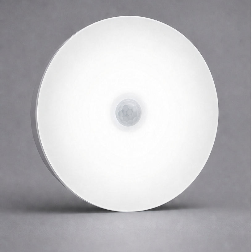 Rechargeable Motion Sensor Light